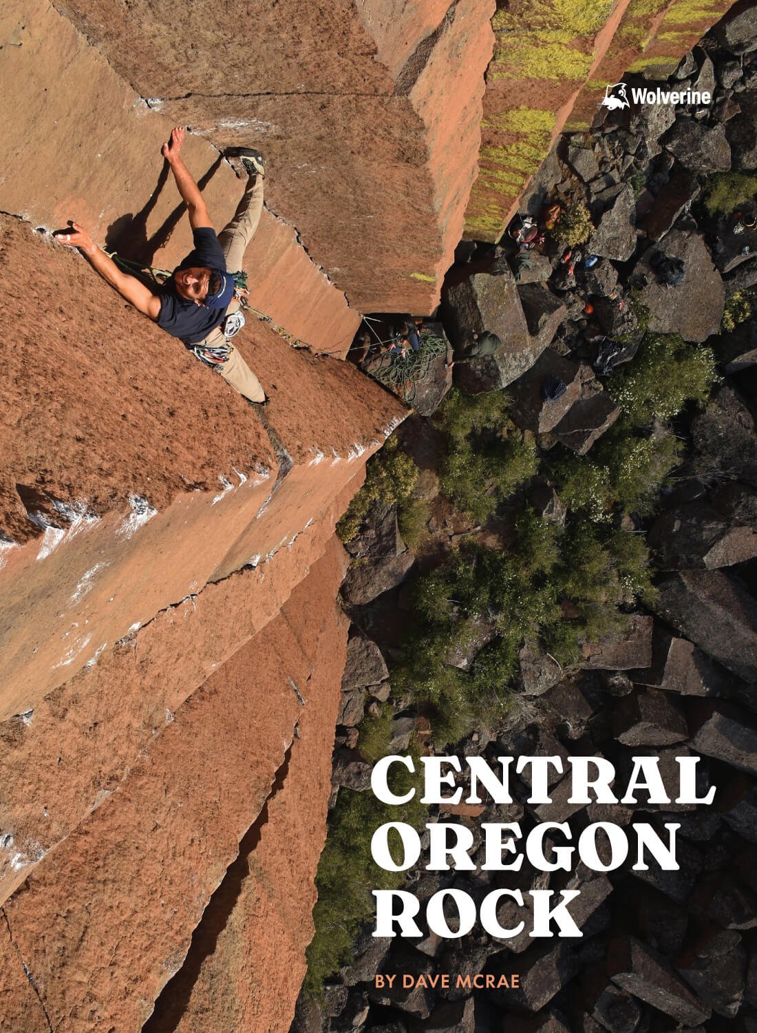 Central Oregon Rock by Dave McRae